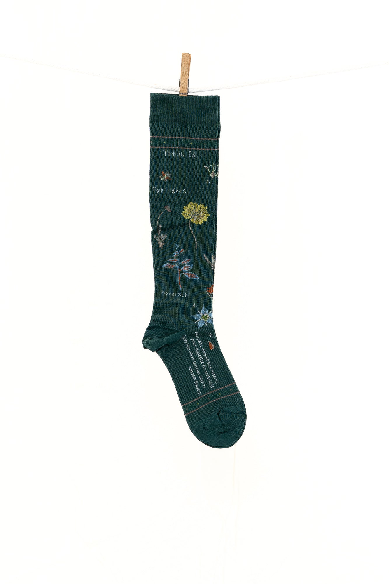 Antipast Botanical XVII Compression Women's Socks