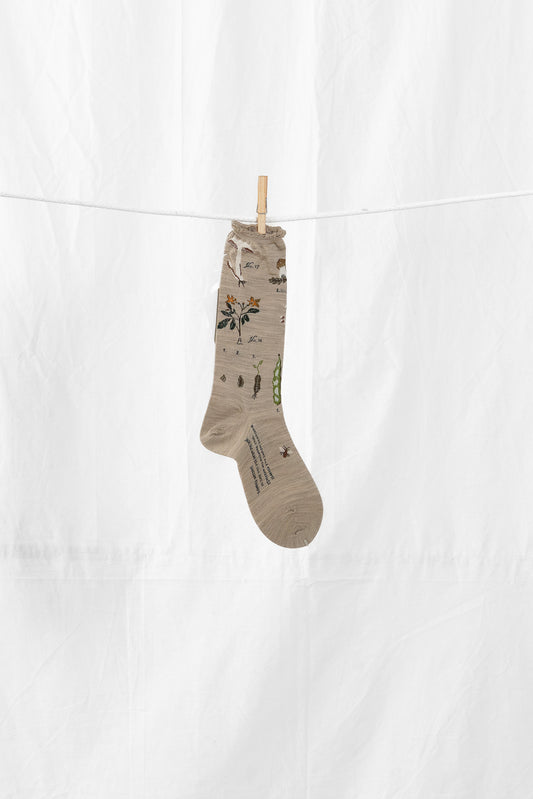 Antipast Botanical XIV Women's Socks Beige