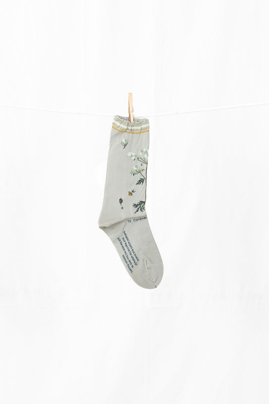 Antipast Botanical XII Women's Socks -Sage