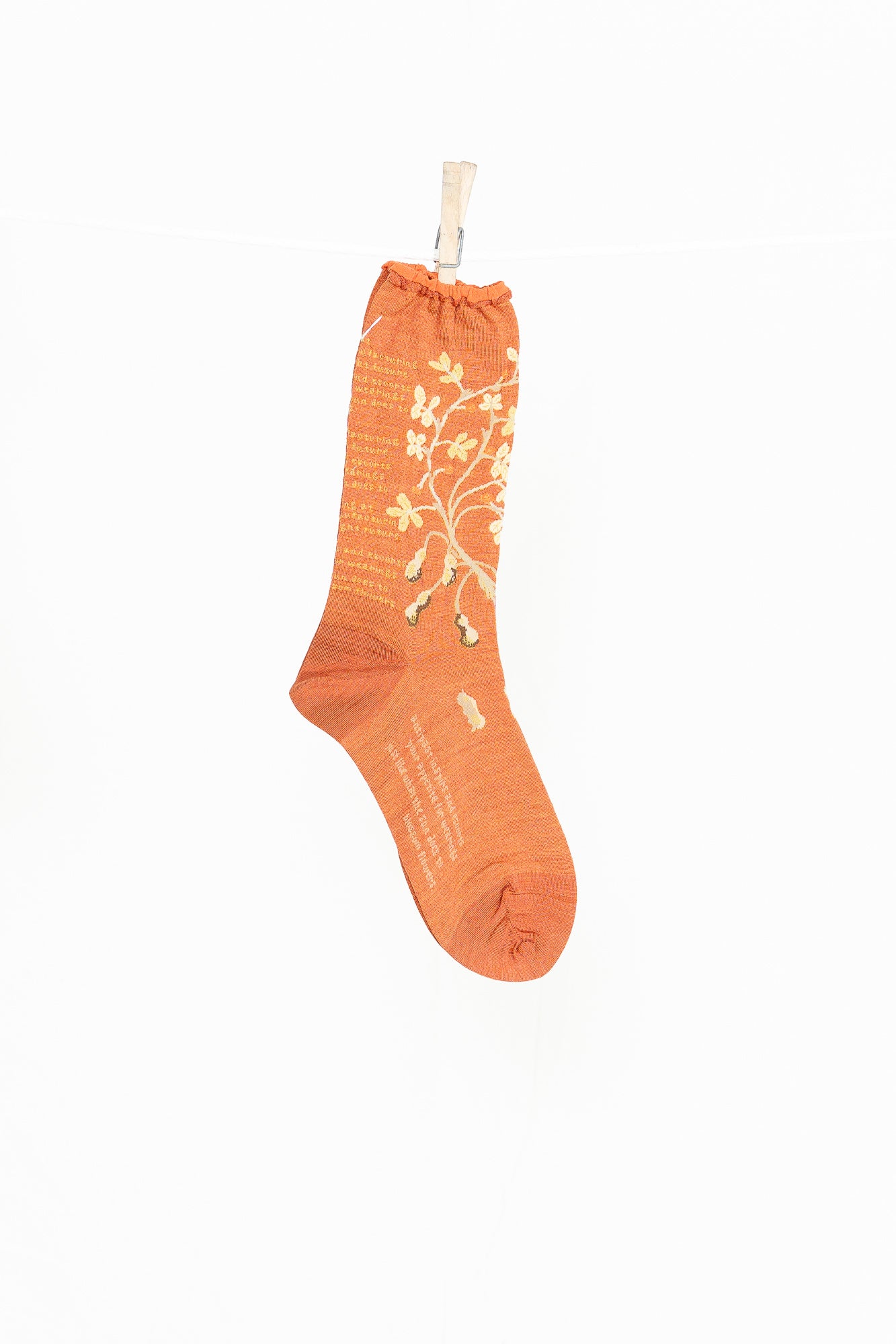 Antipast Peanut Tree Women's Socks